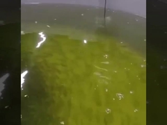 Σε απευθείας σύνδεση οπτικός διαλυμένος οπτικός αισθητήρας οξυγόνου αισθητήρων Rs485 οξυγόνου